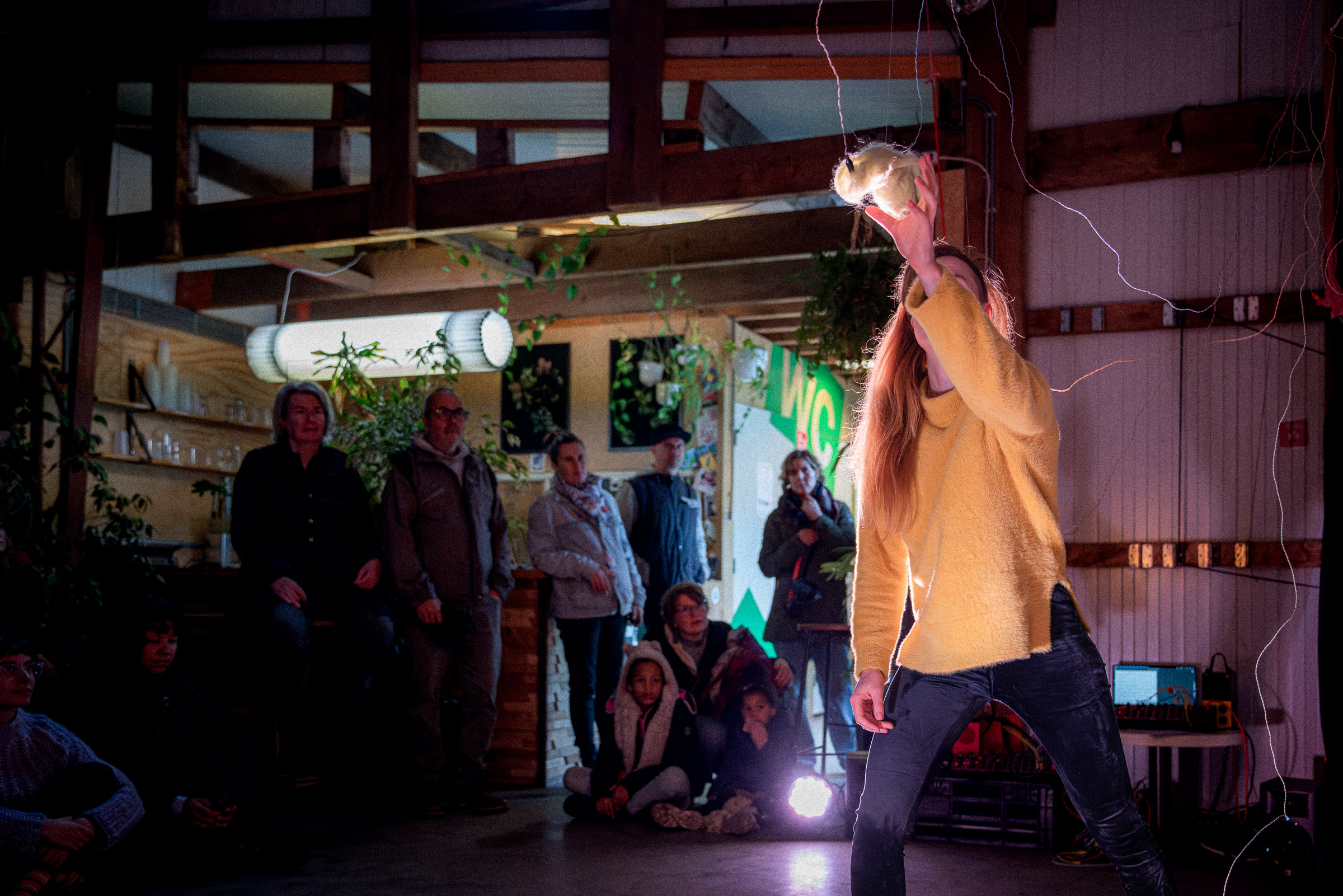 bromwol photographed by Paulus van Dorsten