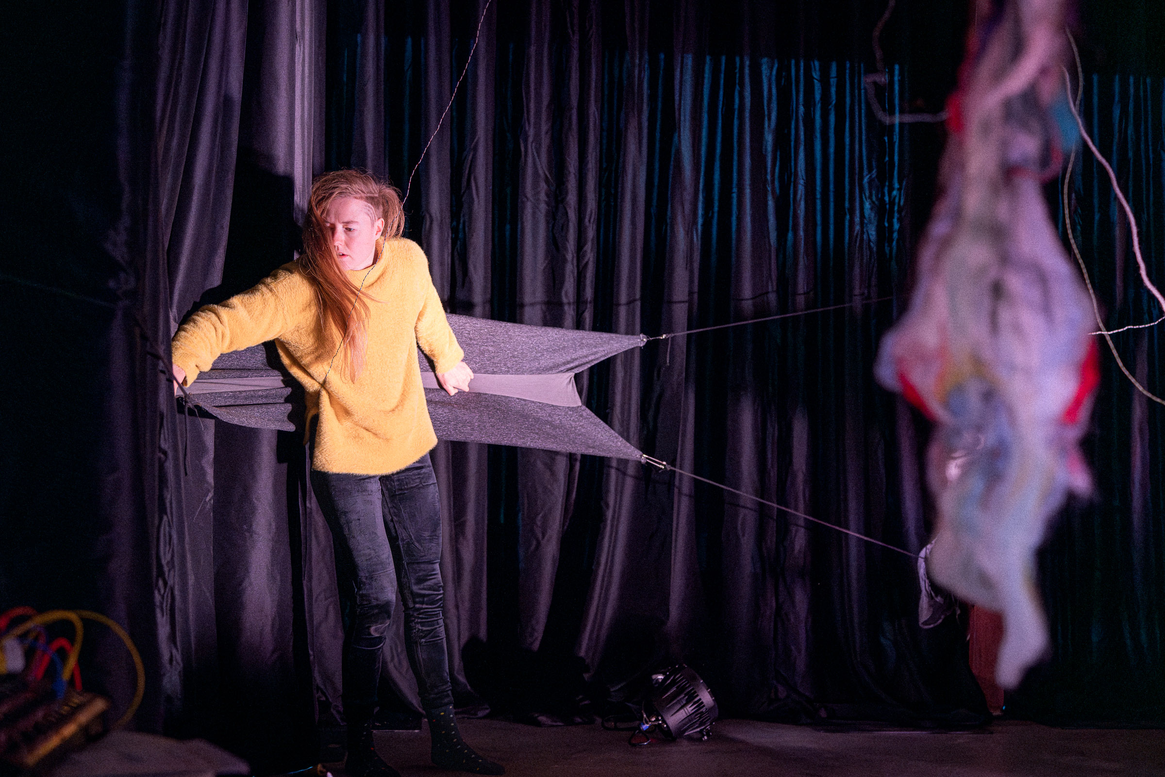 bromwol photographed by Paulus van Dorsten