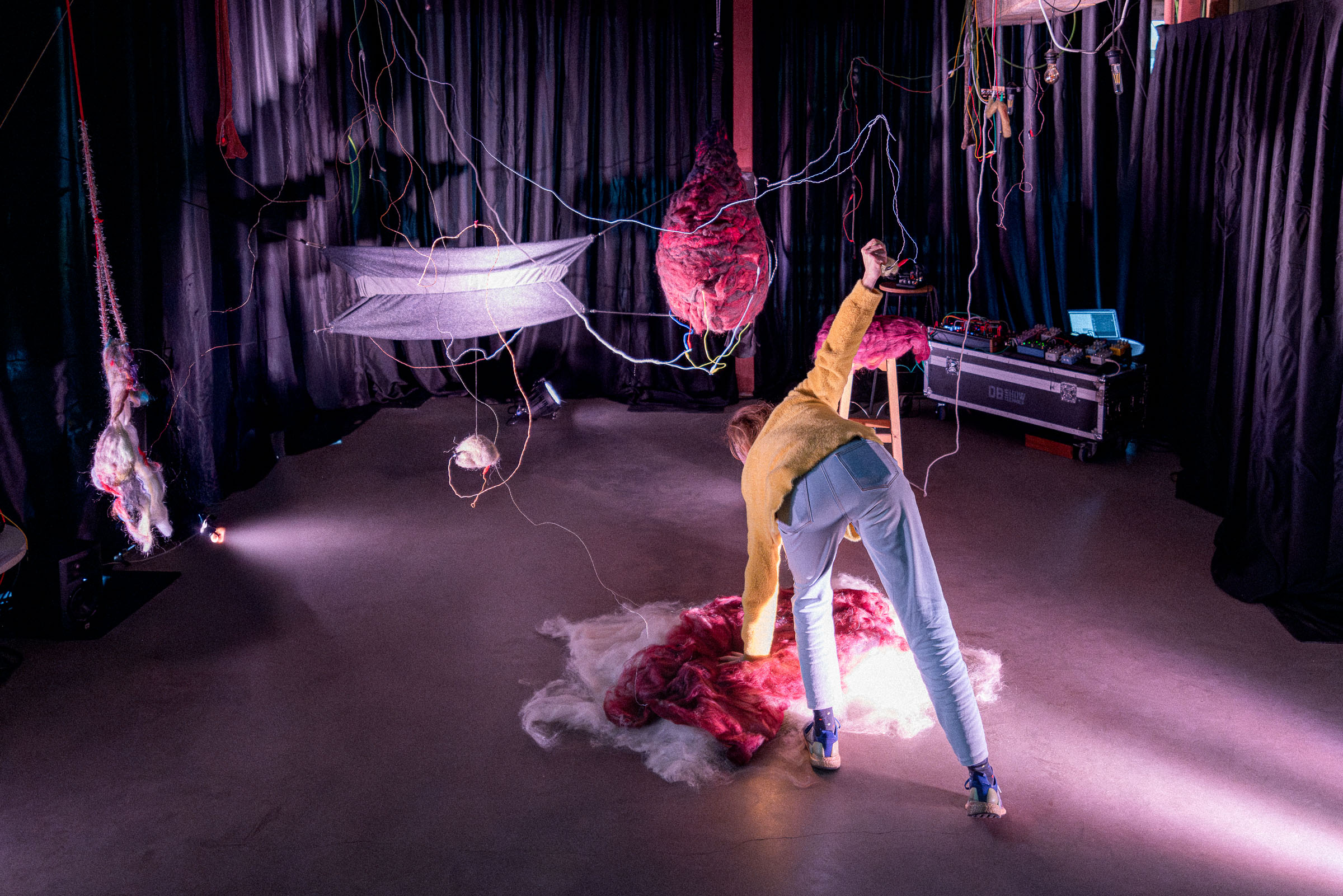 bromwol photographed by Paulus van Dorsten