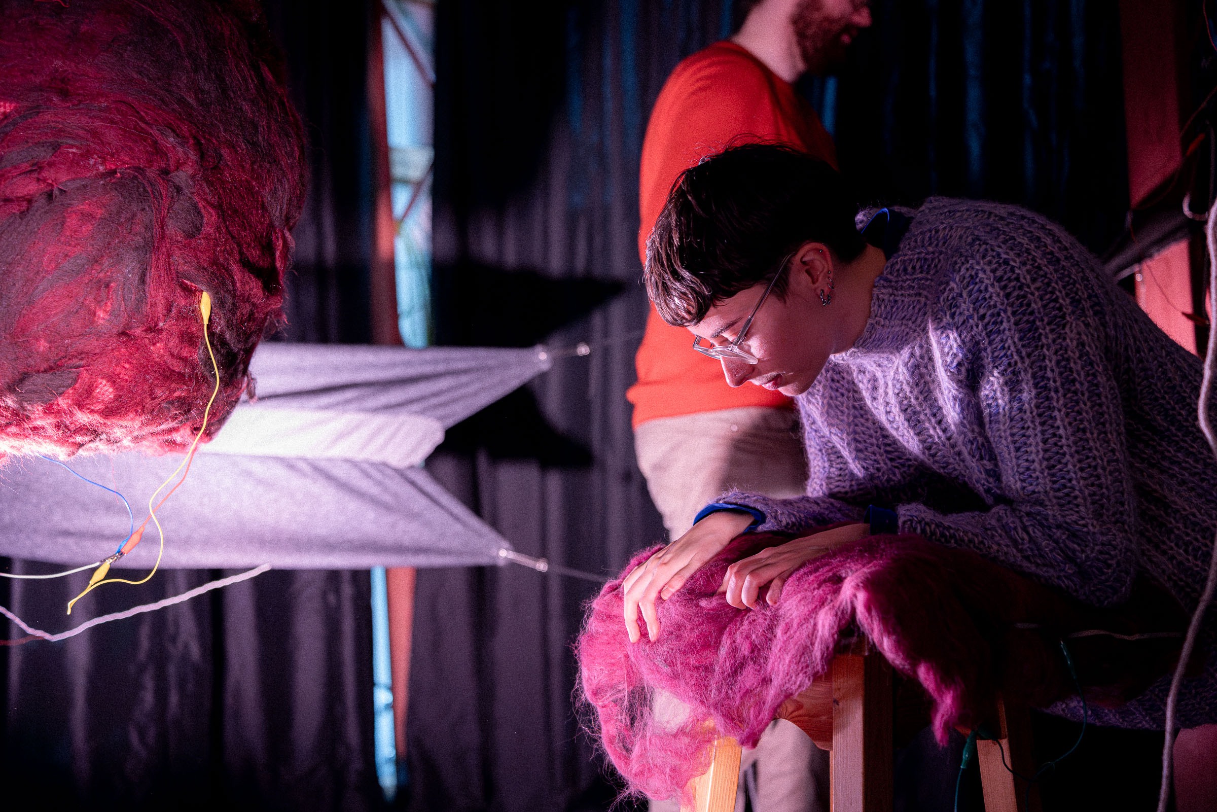 bromwol photographed by Paulus van Dorsten