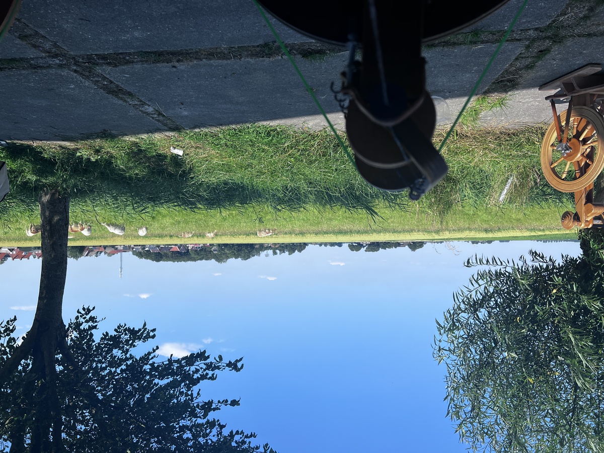 Spinning outside with a view on frysian sheep